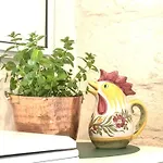 Nonna Nella Casa In Centro *