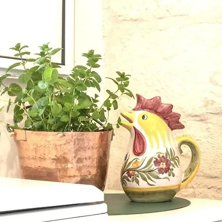 Nonna Nella Casa In Centro *