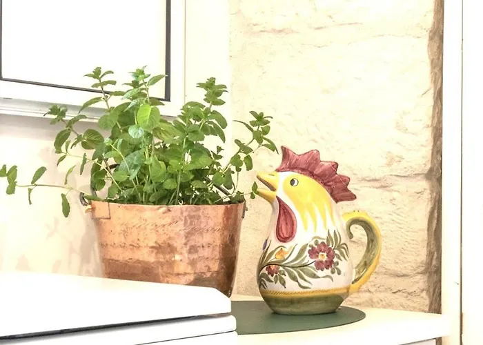 Nonna Nella Casa In Centro *